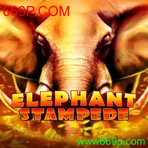ElephantStampede